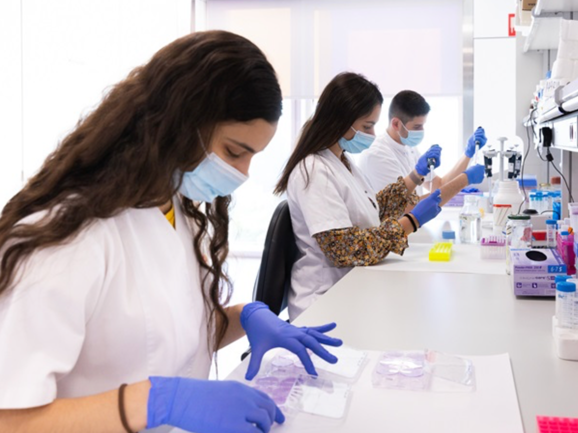 Screenshot 2025-11-01 at 21.22.47.png__PID:141ae5bc-c6ea-4e76-8fd1-cbbaf3417f74